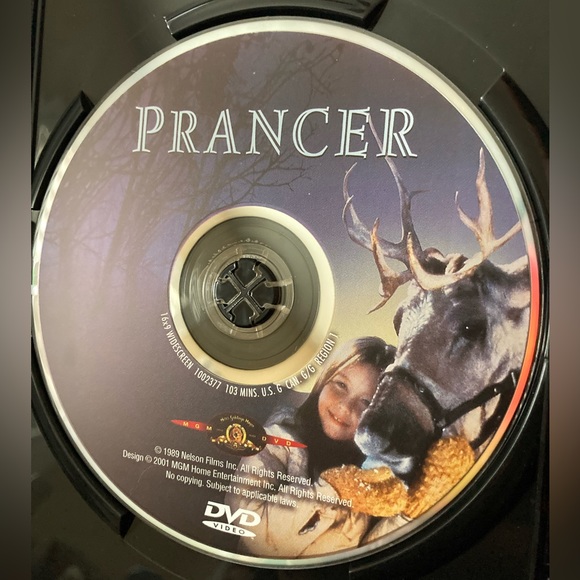 Christmas Collection: Miracle on 34th St, Deck the Halls, Home Alone 2, Prancer - Picture 16 of 17